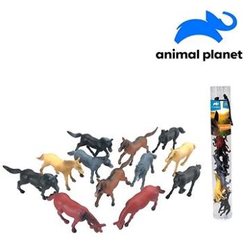Zvieratká v tube – kone, 6 – 8 cm, mobilná aplikácia pre zobrazenie zvieratiek, 12 ks (8590756075510)