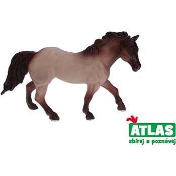 Atlas Kôň (8590331019069)