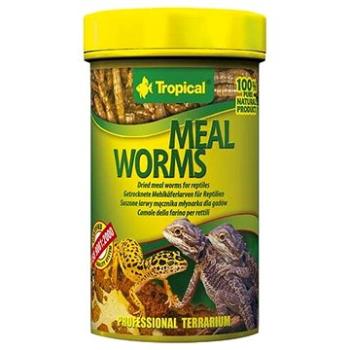 Tropical Meal worms 100 ml 13 g (6911183)
