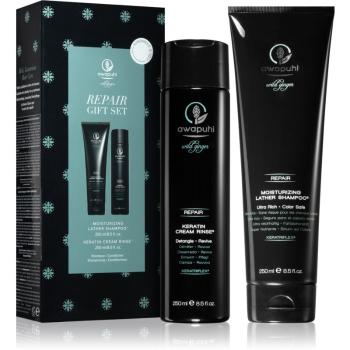 Paul Mitchell Awapuhi Wild Ginger sada (pre suché a poškodené vlasy)