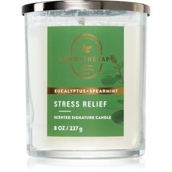 Bath & Body Works Eucalyptus Spearmint vonná sviečka Stress Relief 227 g