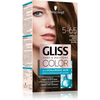 Schwarzkopf Gliss Color permanentná farba na vlasy odtieň 5-65 Chestnut Brown 1 ks