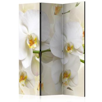 Paraván Orchid Branch Dekorhome 135x172 cm (3-dielny)