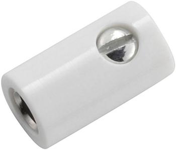 Kahlert Licht  mini laboratórne zásuvka zásuvka, rovná Ø pin: 2.6 mm biela 1 ks