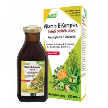 SALUS Vitamín B-komplex 250 ml