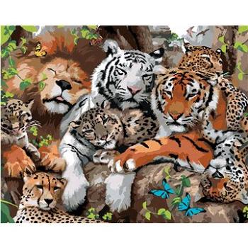 Maľovanie podľa čísel – Lev, tigre a ďalšie mačkovité šelmy (Howard Robinson) (HRAbz33470nad)