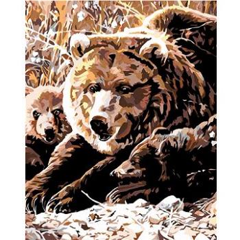 Maľovanie podľa čísel – Medvedica s mláďatami (HRAmal00191nad)