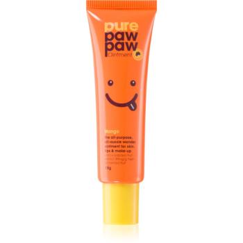 Pure Paw Paw Mango balzam na pery a suché miesta 15 g