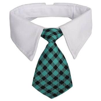 Gentledog kravata pro psy tyrkysová Velikost oblečení: S