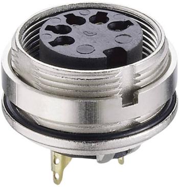 Lumberg 0305 05-1 DIN kruhový konektor zásuvka, vstavateľná vertikálna Pólov: 5  strieborná 1 ks