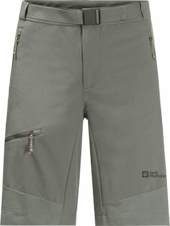 Jack Wolfskin Outdoorové šortky Ziegspitz Shorts M Gecko Green L