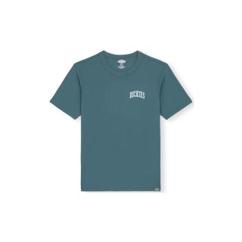 Dickies  Aitkin Chest Logo T-Shirt - Green  Tričká a polokošele Zelená