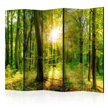 Paraván Forest Rays Dekorhome 225x172 cm (5-dielny)