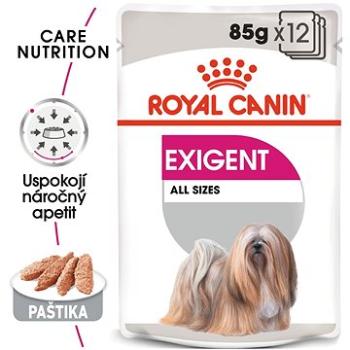 Royal Canin Exigent Dog Loaf 12 × 85 g (9003579009451)