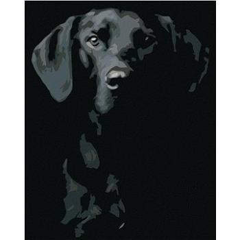 Maľovanie podľa čísel – Čierno-biely pes (HRAmal01060nad)