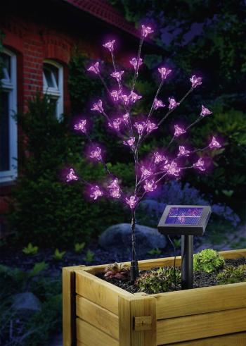 Esotec solárne dekoračné osvetlenie  Arbuste 102104 kvitnúci krík  LED  0.6 W ružová antracitová