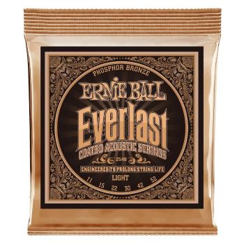 Ernie Ball Everlast Phosphor Bronze Light.011-.052