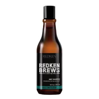 Redken Povzbudzujúce mentolový šampón na vlasy pre mužov Brews (Mint Shampoo) 300 ml