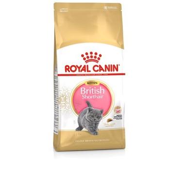 Royal Canin British Shorthair Kitten 10 kg (3182550816540)