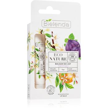 Bielenda ECO NATURE Vanilla milk + Fig + Orange blossom regeneračný balzam na pery 10 g