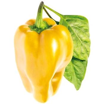 Click and Grow Sladká žltá paprika (SGYS)