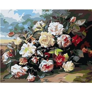 Maľovanie podľa čísel – Divé ruže (HRAmal00975nad)