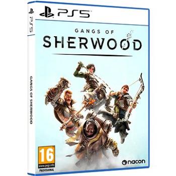 Gangs of Sherwood – PS5 (3665962021851)