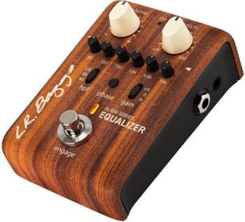 L.R. Baggs Align Equalizer