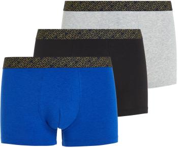 Tommy Hilfiger 3 PACK - pánske boxerky UM0UM03039-0SH XXL