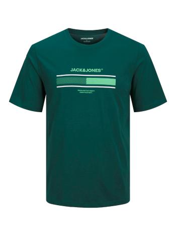 Jack&Jones Pánske tričko JJSOUTH Standard Fit 12256784 Deep Teal S