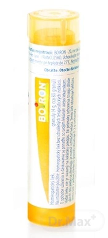 POLLEN DE GRAMINÉES CH15 1x4 g