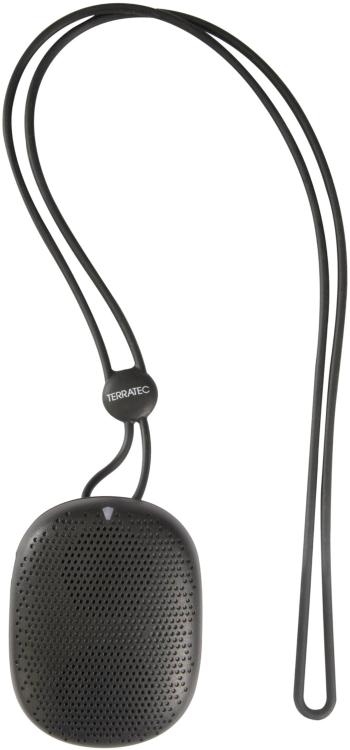 Terratec CONCERT BT Bluetooth® reproduktor hlasitý odposluch čierna