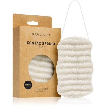 BrushArt Home Salon Konjac sponge jemná exfoliačná hubka na telo Natural