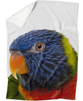 Deka Farebný papagáj (Rozmer: 150 x 120 cm, Podšitie baránkom: ÁNO)