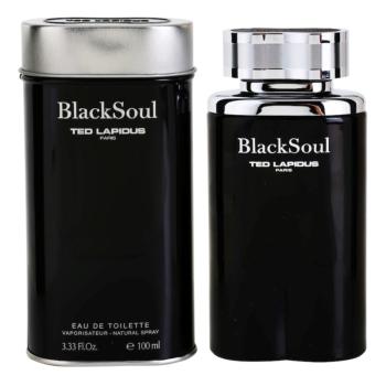 Ted Lapidus Black Soul toaletná voda pre mužov 100 ml