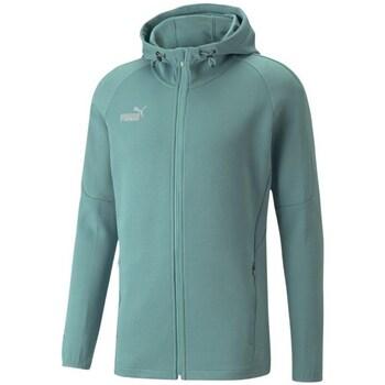 Puma  Mikiny Teamfinal Casuals Hooded  viacfarebny