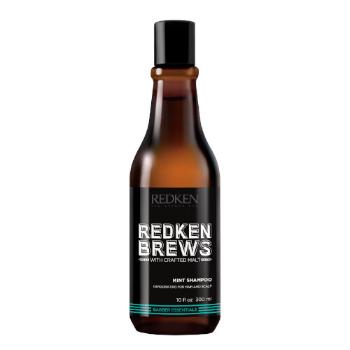 Redken Povzbudzujúce mentolový šampón na vlasy pre mužov Brews