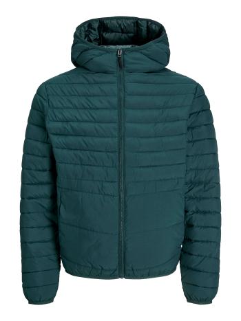 Jack&Jones Pánska bunda JJESTATE 12256983 Magical Forest XL