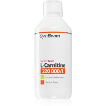 GymBeam L-Carnitine 220 000 mg/l spaľovač tukov príchuť Forest Fruit 500 ml