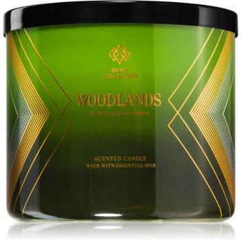 Bath & Body Works Woodland vonná sviečka 411 g