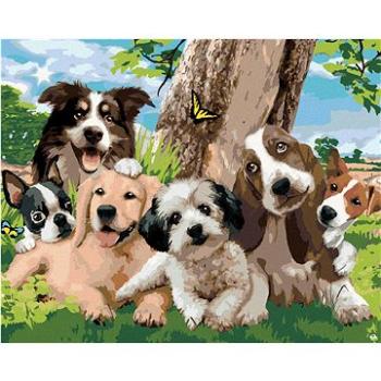 Maľovanie podľa čísel – Psy pri strome na lúke (Howard Robinson) (HRAbz33483nad)