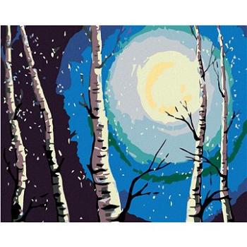 Maľovanie podľa čísel – Brezy, mesiac a padajúci sneh (HRAmal00899nad)