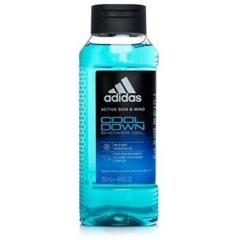 ADIDAS Cool Down Shower Gel 250 ml (3616303443962)