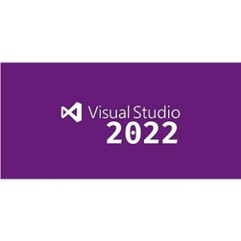 Microsoft Visual Studio Professional 2022 Charity (DG7GMGF0D3SJNON)