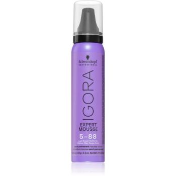 Schwarzkopf Professional IGORA Expert Mousse farbiaca pena na vlasy odtieň 5-88 Light Brown Red Extra 100 ml