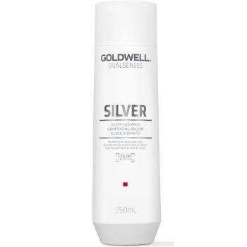 Goldwell Šampón pre blond a šedivé vlasy Dualsenses Silver (Silver Shampoo) 250 ml