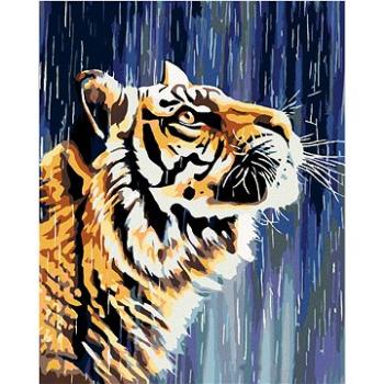 Maľovanie podľa čísel – Tiger pri vodopáde (HRAmal00159nad)