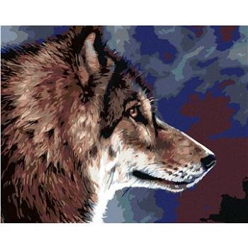 Maľovanie podľa čísel – Hlava vlka (HRAmal00198nad)