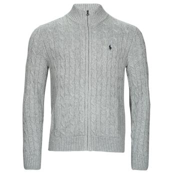 Polo Ralph Lauren  S224SC23-LSCABLEFZPP-LONG SLEEVE-FULL ZIP  Vesty bez rukávov/Cardigany Šedá