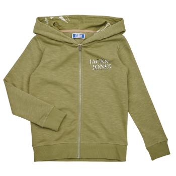 Jack & Jones  JORCRAYON SWEAT ZIP HOOD  Mikiny Zelená